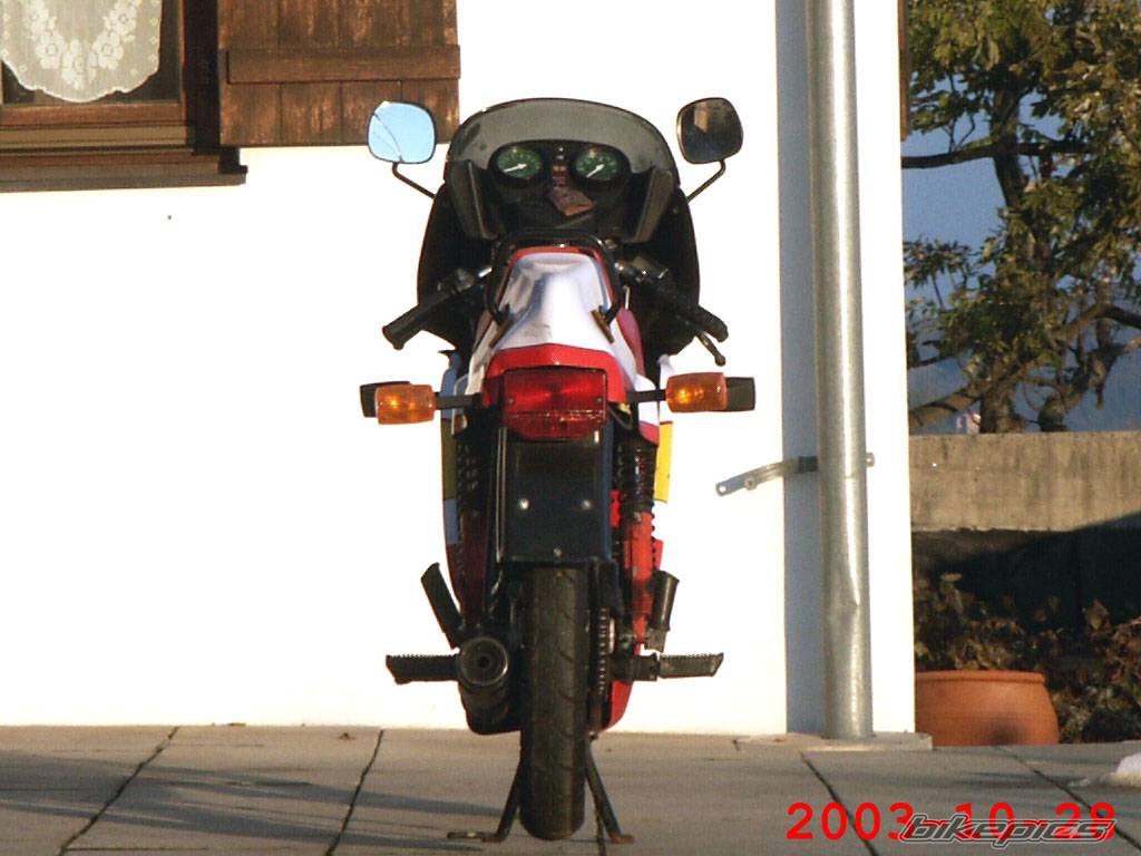 1986 SACHS ULTRA RS 50 | Picture 209389 motorcycle photo