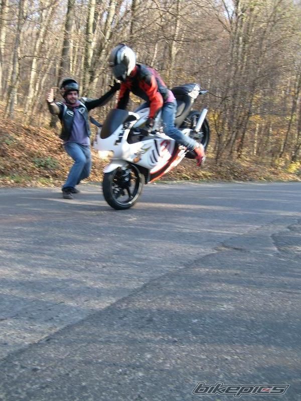 2004 APRILIA RS 125 | Picture 2094226 motorcycle photo