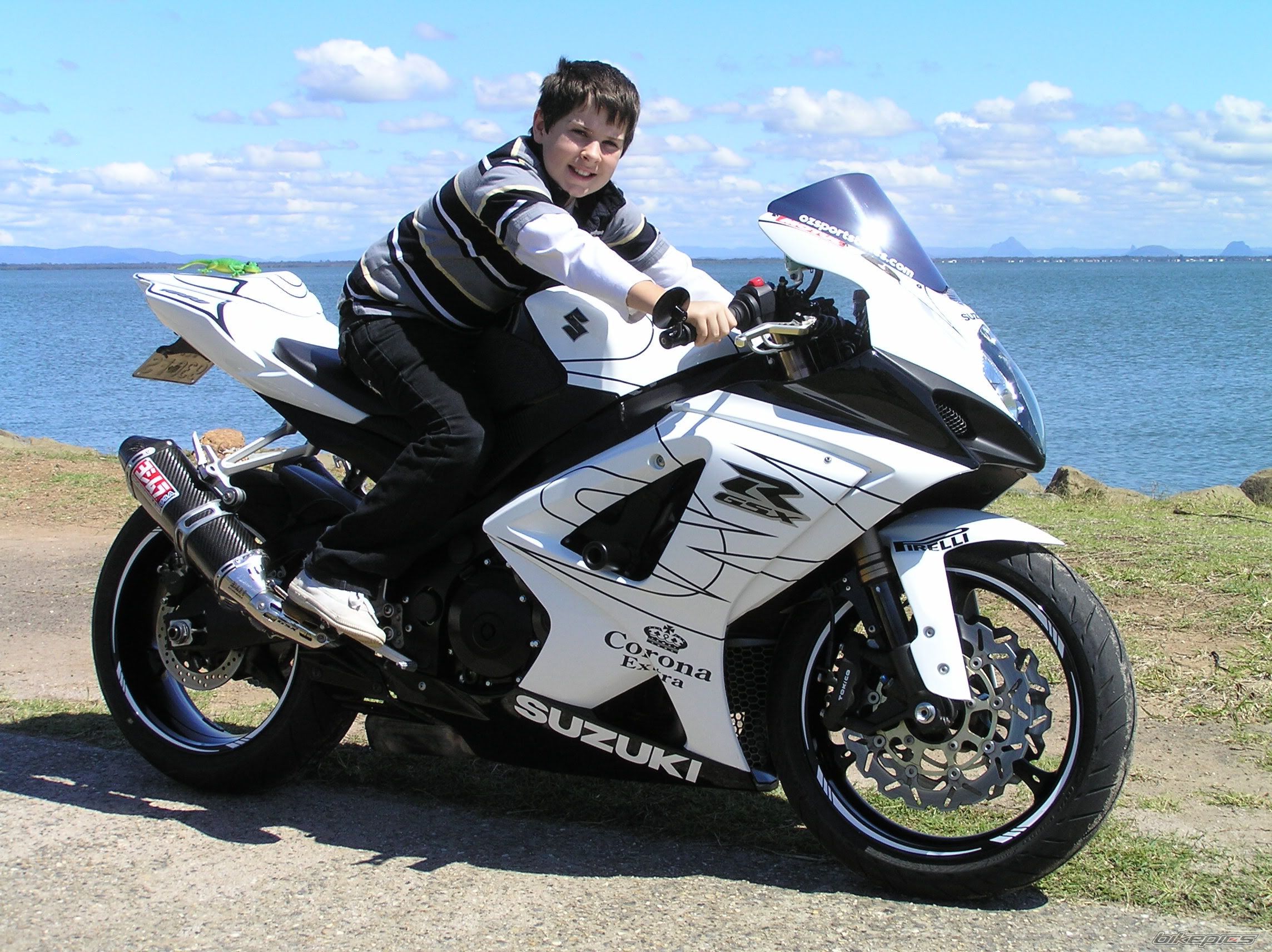 2008 SUZUKI GSX R 1000 | Picture 2094477 motorcycle photo