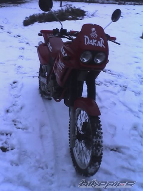 1991 GILERA RC 125 | Picture 2094600 motorcycle photo