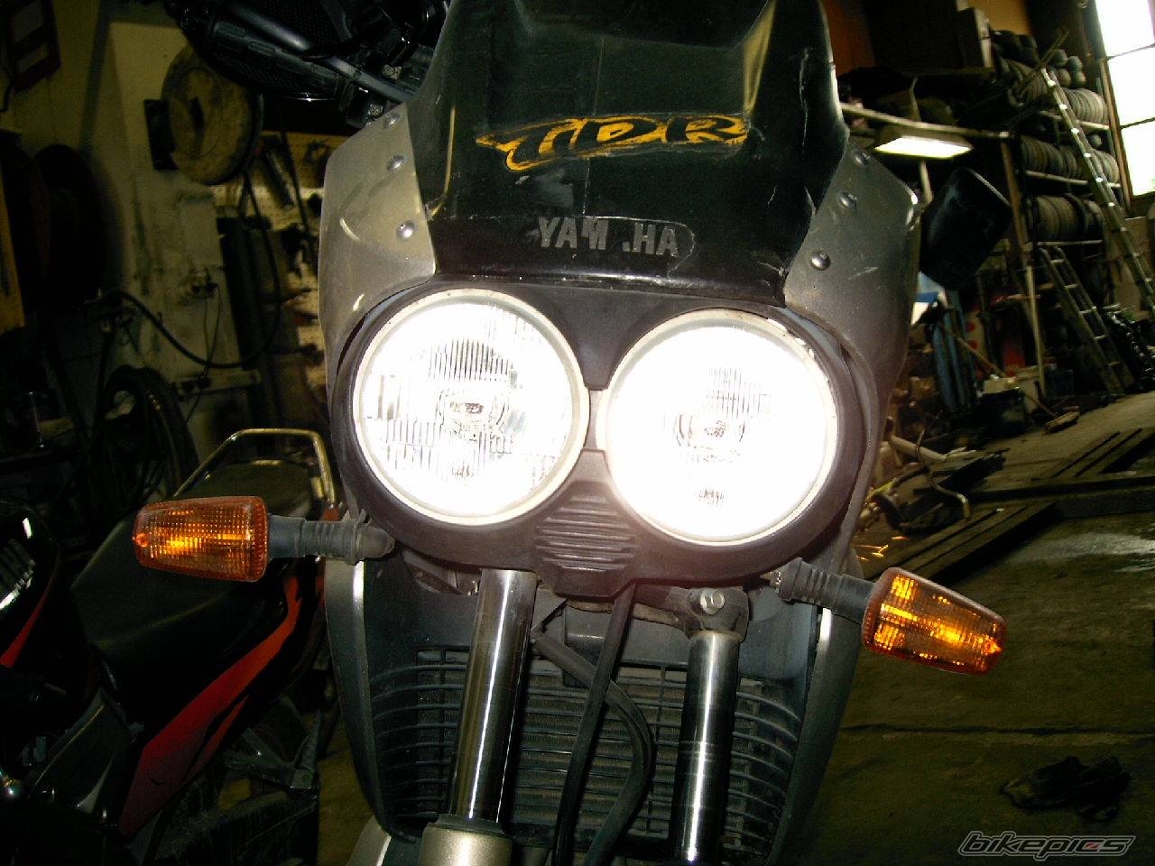1998 YAMAHA TDR 125 | Picture 209486 motorcycle photo