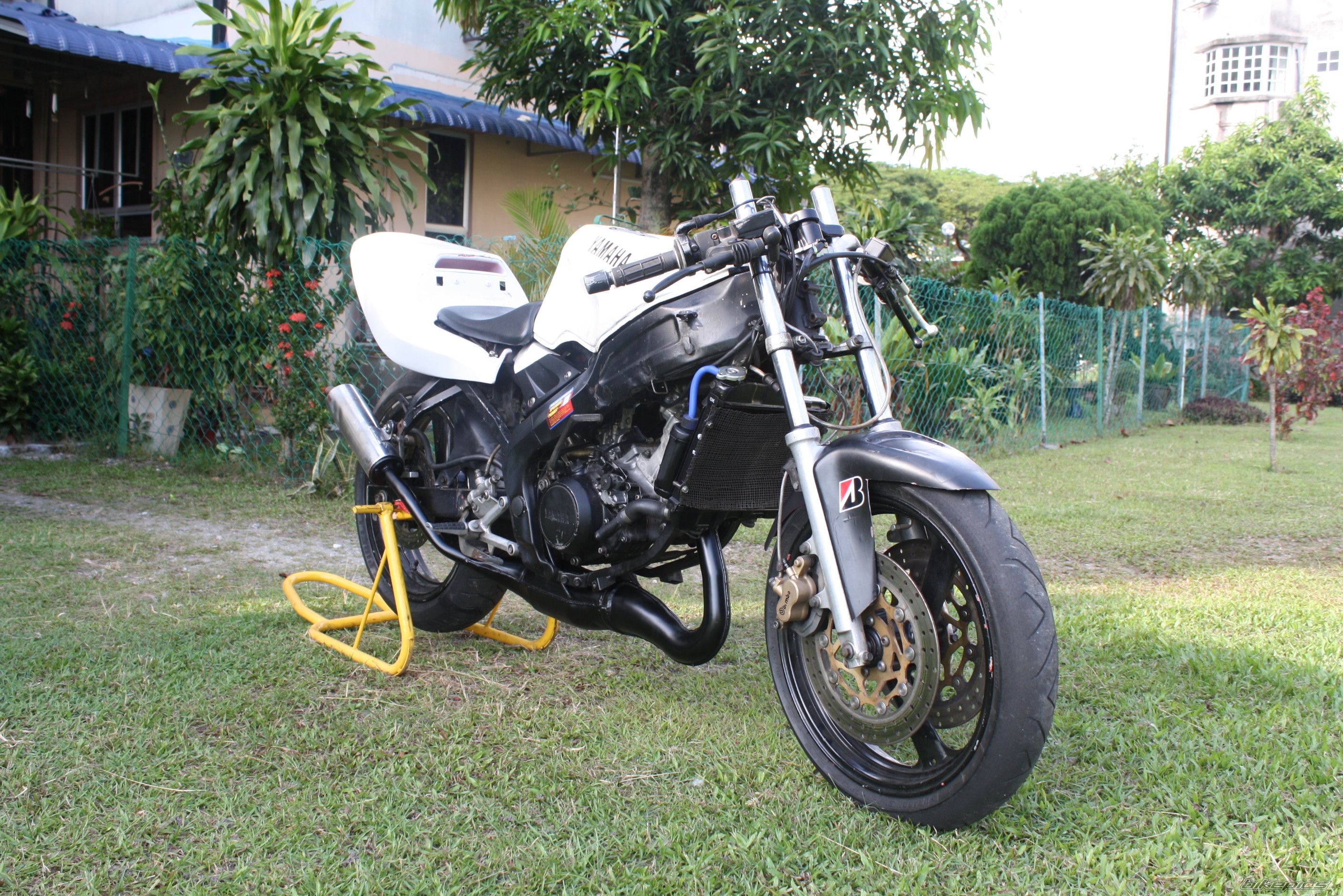 2010 YAMAHA TZM 150 | Picture 2094958 motorcycle photo