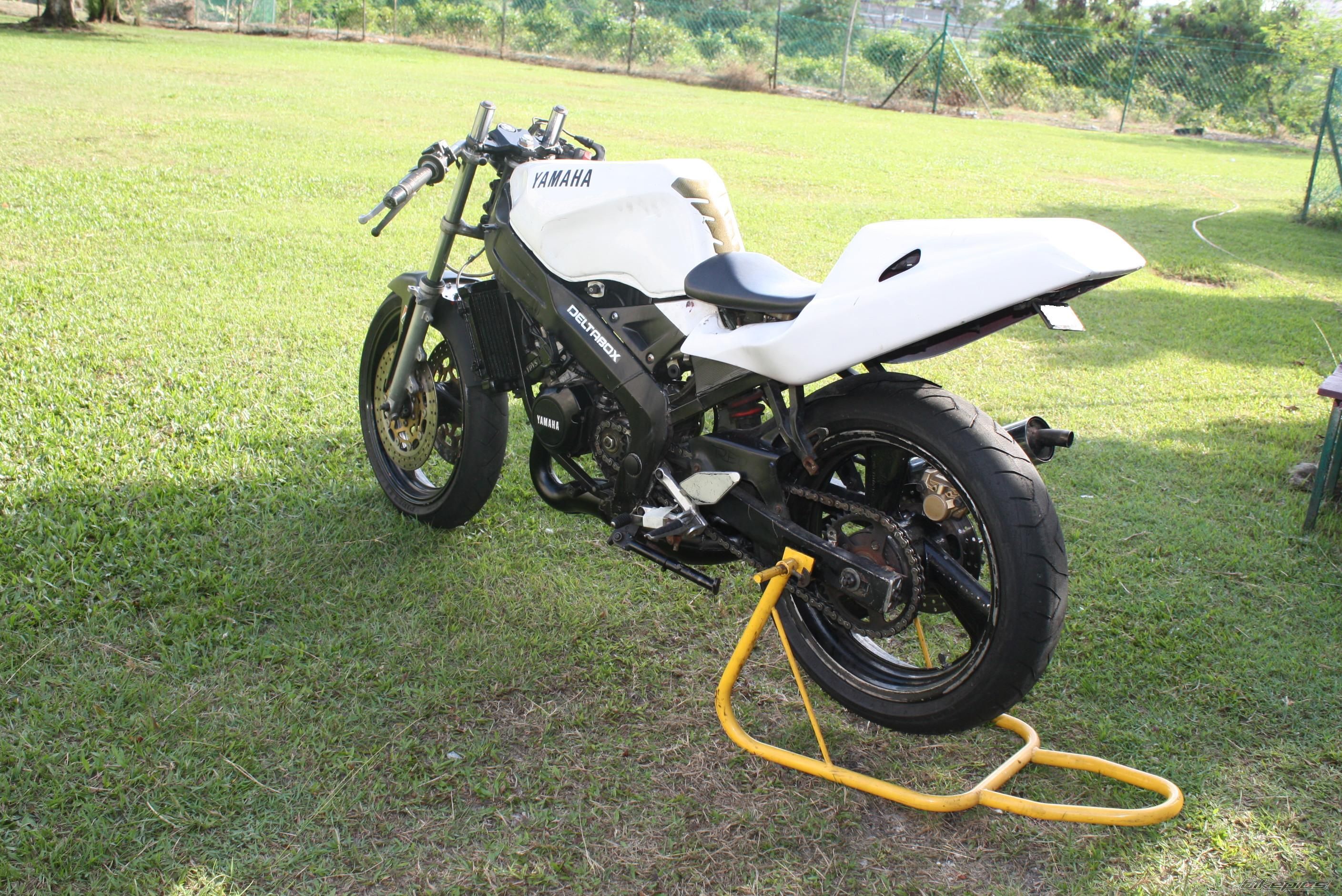 2010 YAMAHA TZM 150 | Picture 2094977 motorcycle photo