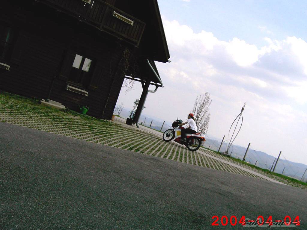 1986 SACHS ULTRA RS 50 | Picture 209513 motorcycle photo