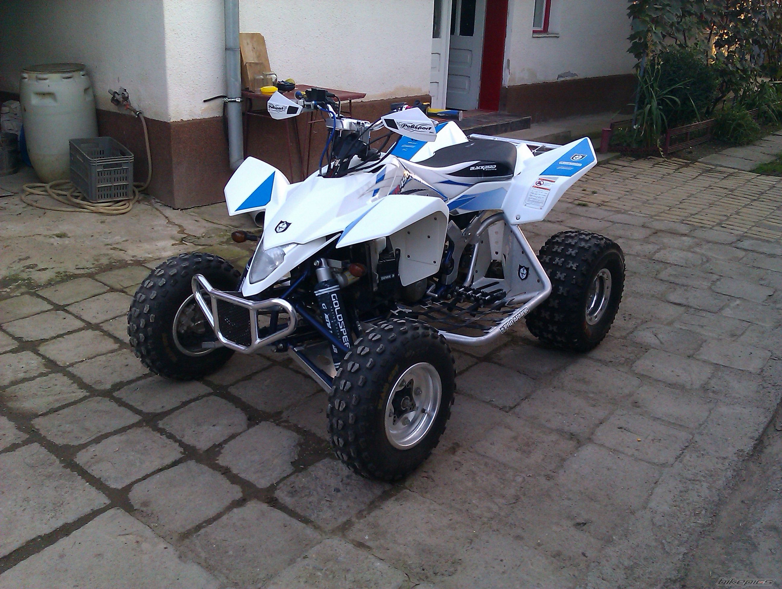 2007 SUZUKI LTR 450 | Picture 2095307 motorcycle photo