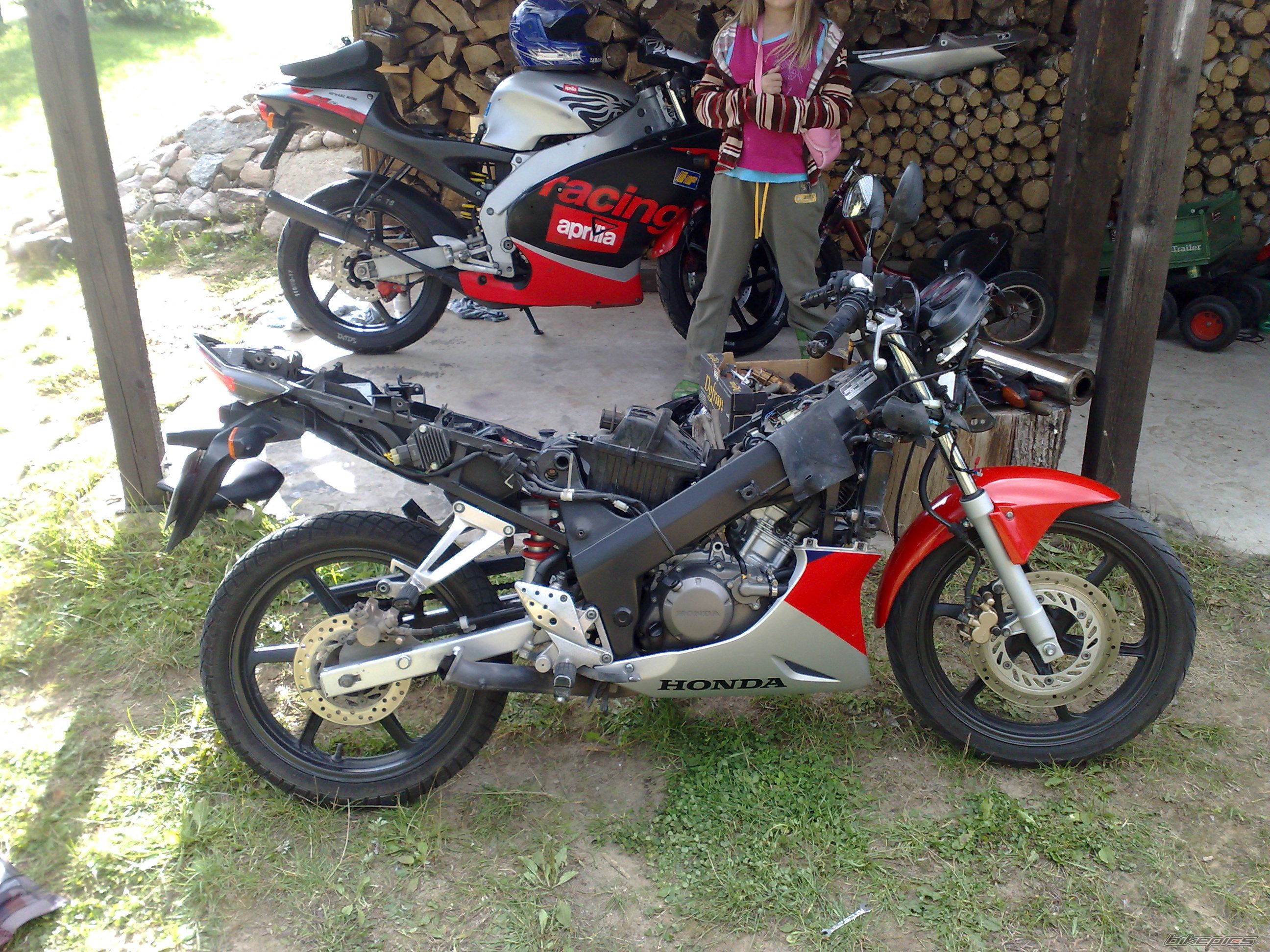 1998 APRILIA RS 50 | Picture 2095819 motorcycle photo