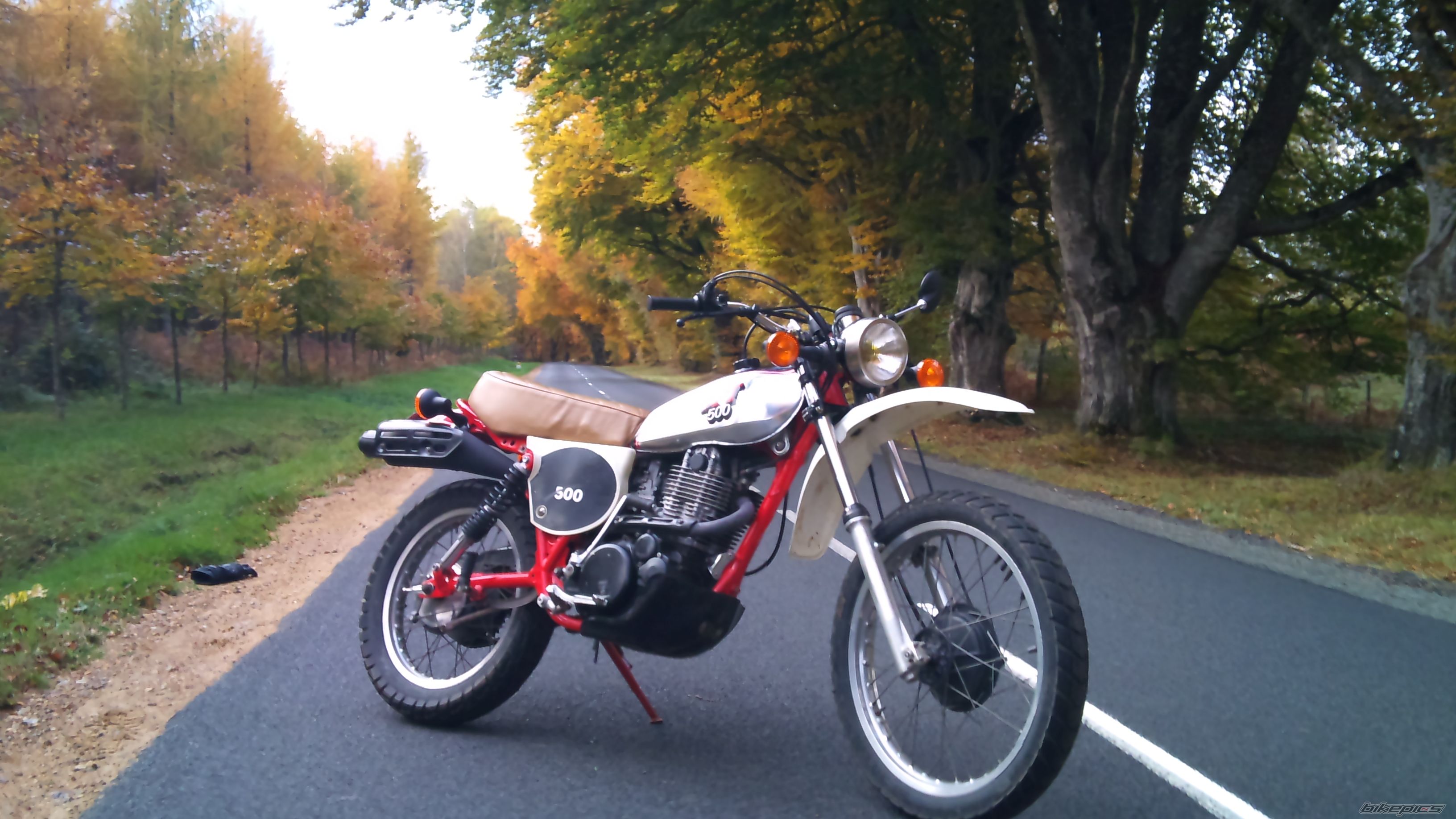 1981 YAMAHA XT 500 | Picture 2096341 motorcycle photo