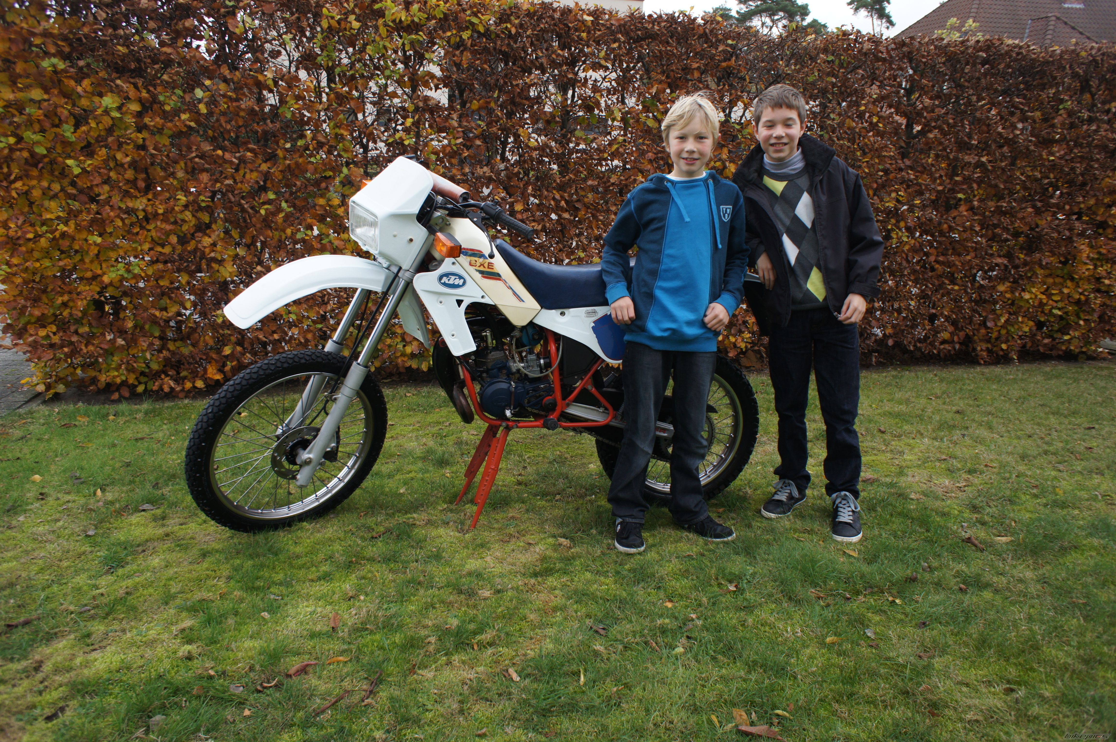 1986 KTM GXE 50 | Picture 2096696 motorcycle photo