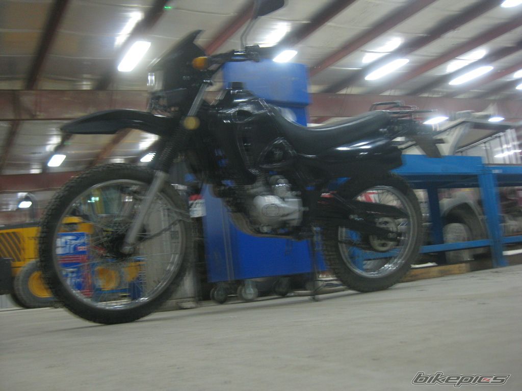 2008 LIFAN ENDURO 125 | Picture 2097935 motorcycle photo