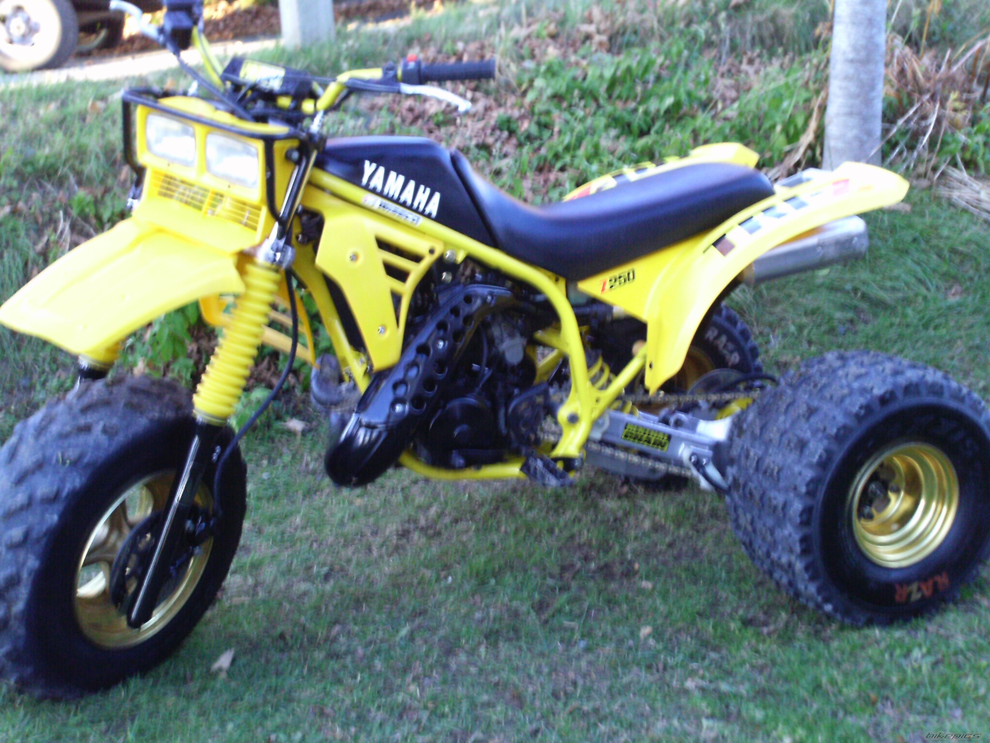 1985 YAMAHA YTZ 250 | Picture 2098331 motorcycle photo