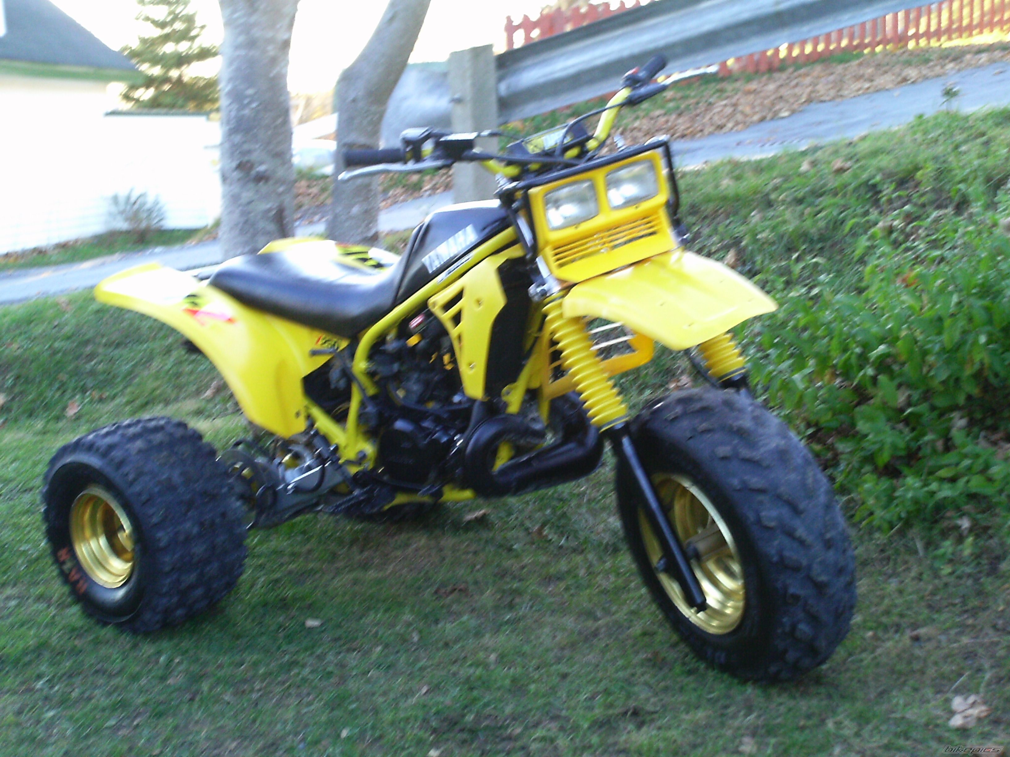1985 YAMAHA YTZ 250 | Picture 2098338 motorcycle photo