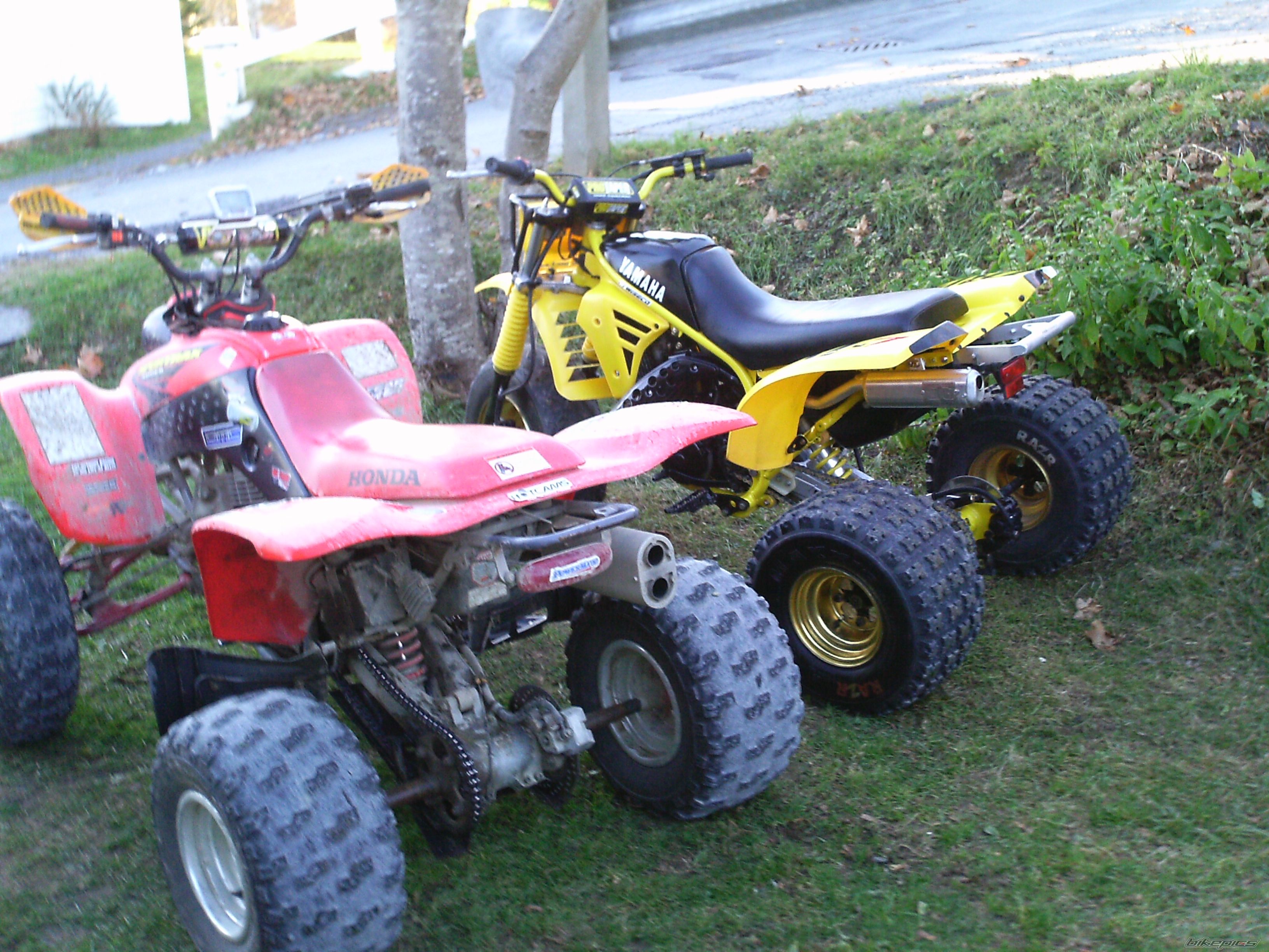 1985 YAMAHA YTZ 250 | Picture 2098362 motorcycle photo
