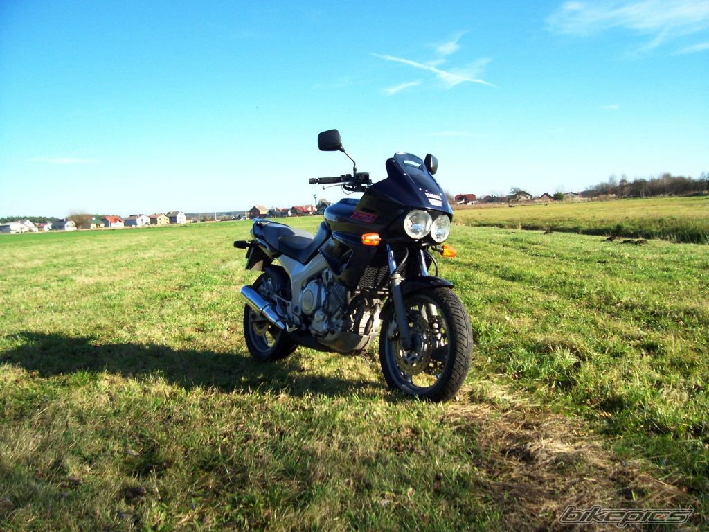 1994 YAMAHA TDM 850 | Picture 2098380 motorcycle photo
