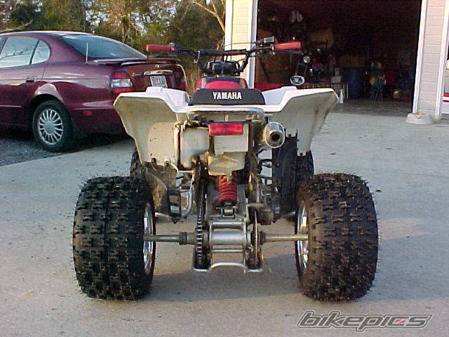 2000 YAMAHA BLASTER | Picture 20988 motorcycle photo