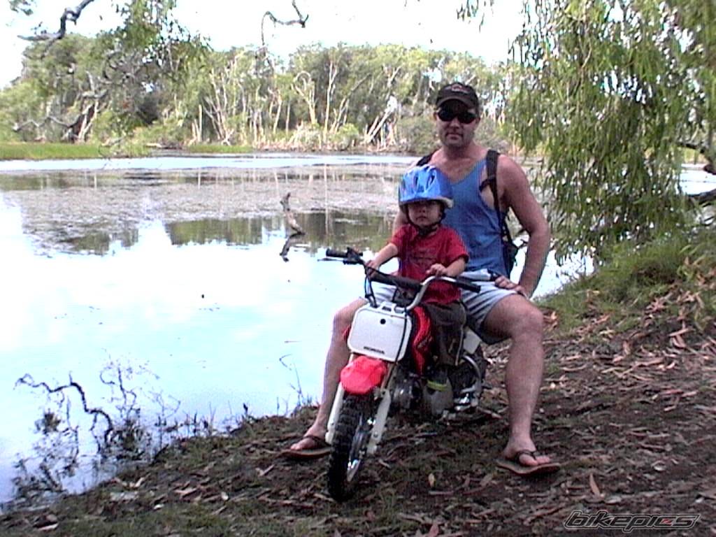 2004 HONDA CRF 50 | Picture 209918 motorcycle photo