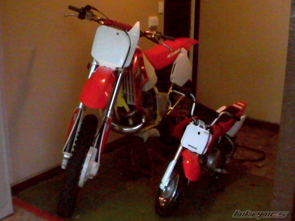 2004 HONDA CRF 50 | Picture 209919 motorcycle photo