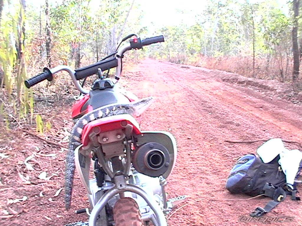 2004 HONDA CRF 50 | Picture 209923 motorcycle photo