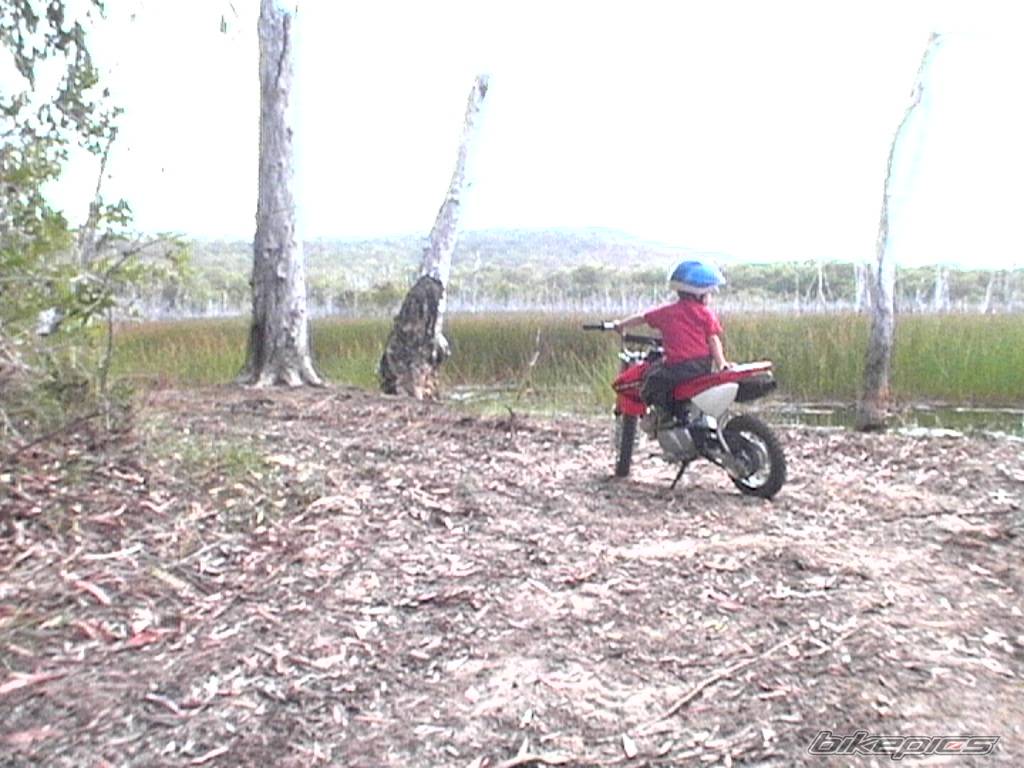 2004 HONDA CRF 50 | Picture 209925 motorcycle photo