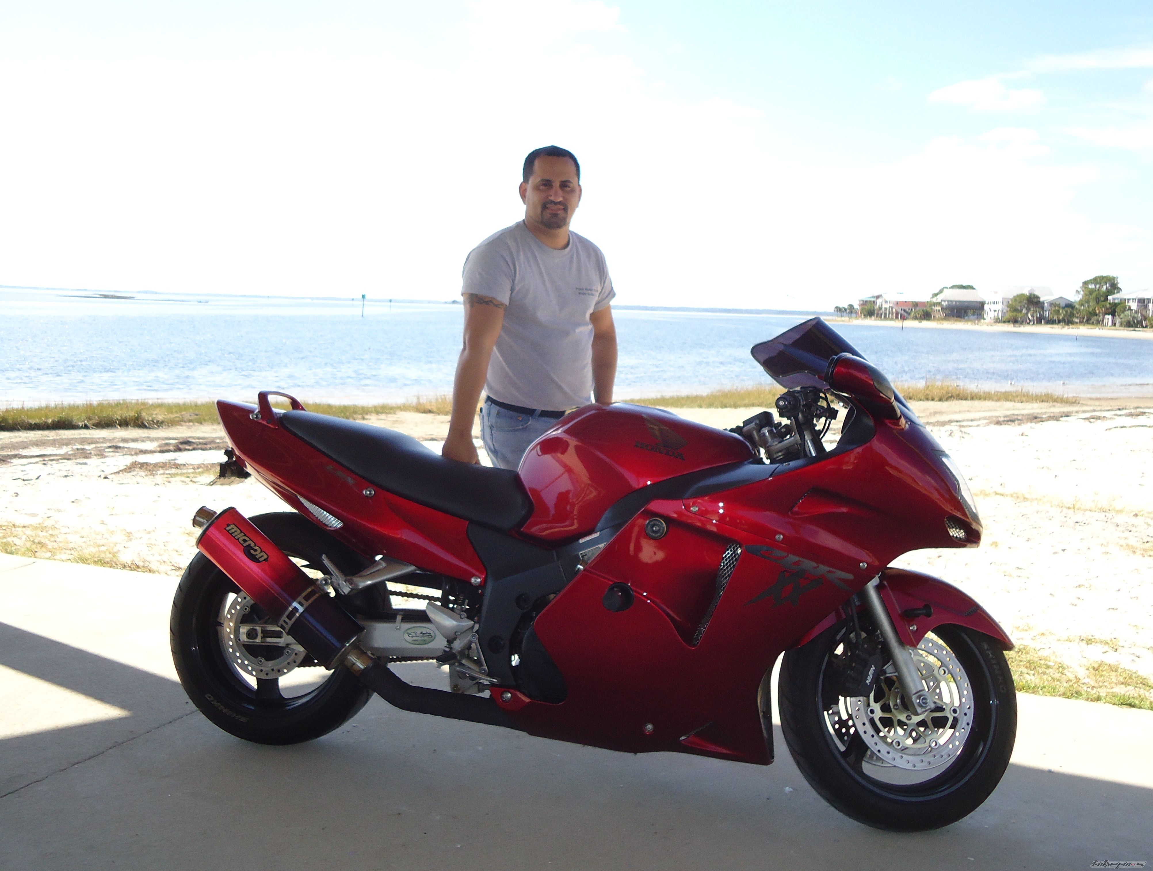 2001 HONDA CBR 1100 BLACKBIRD | Picture 2099370 motorcycle photo