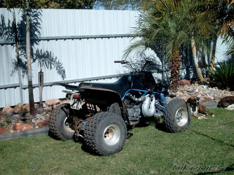2001 YAMAHA BANSHEE | Picture 209951 motorcycle photo