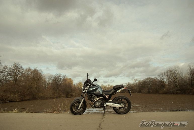 2006 YAMAHA MT 03 | Picture 2099815 motorcycle photo