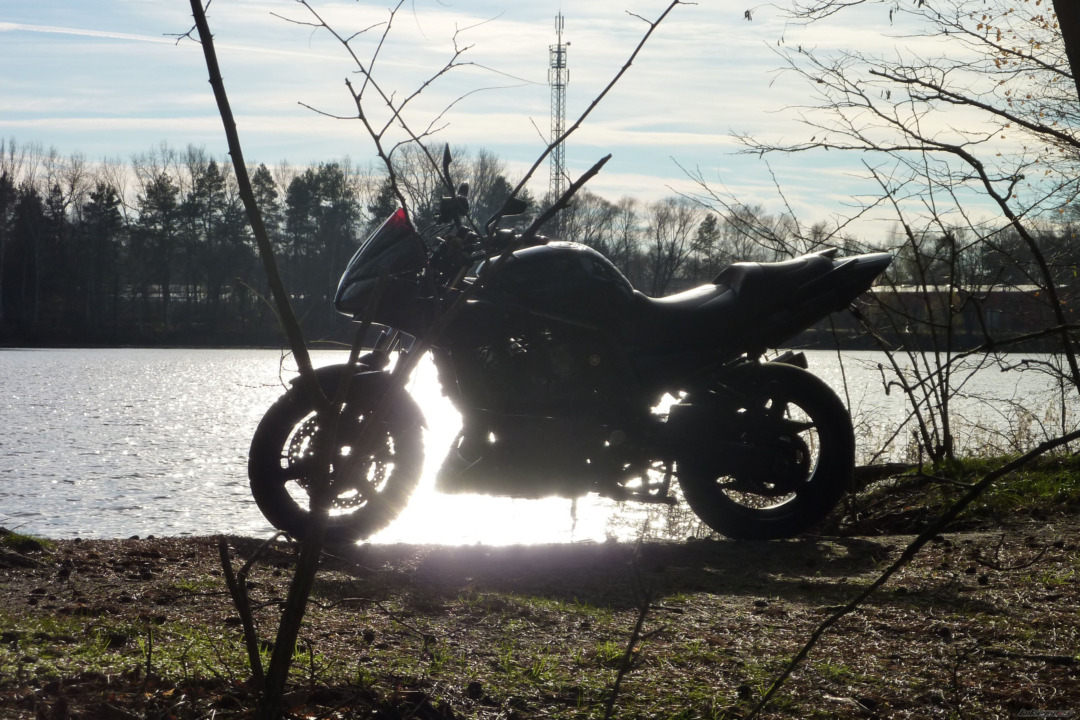 2004 YAMAHA FZS 1000 FAZER | Picture 2100472 motorcycle photo