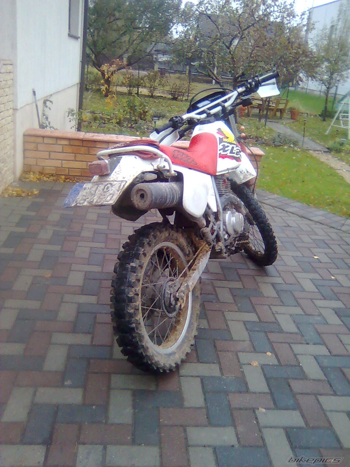 1998 HONDA XLR125 | Picture 2100510 motorcycle photo