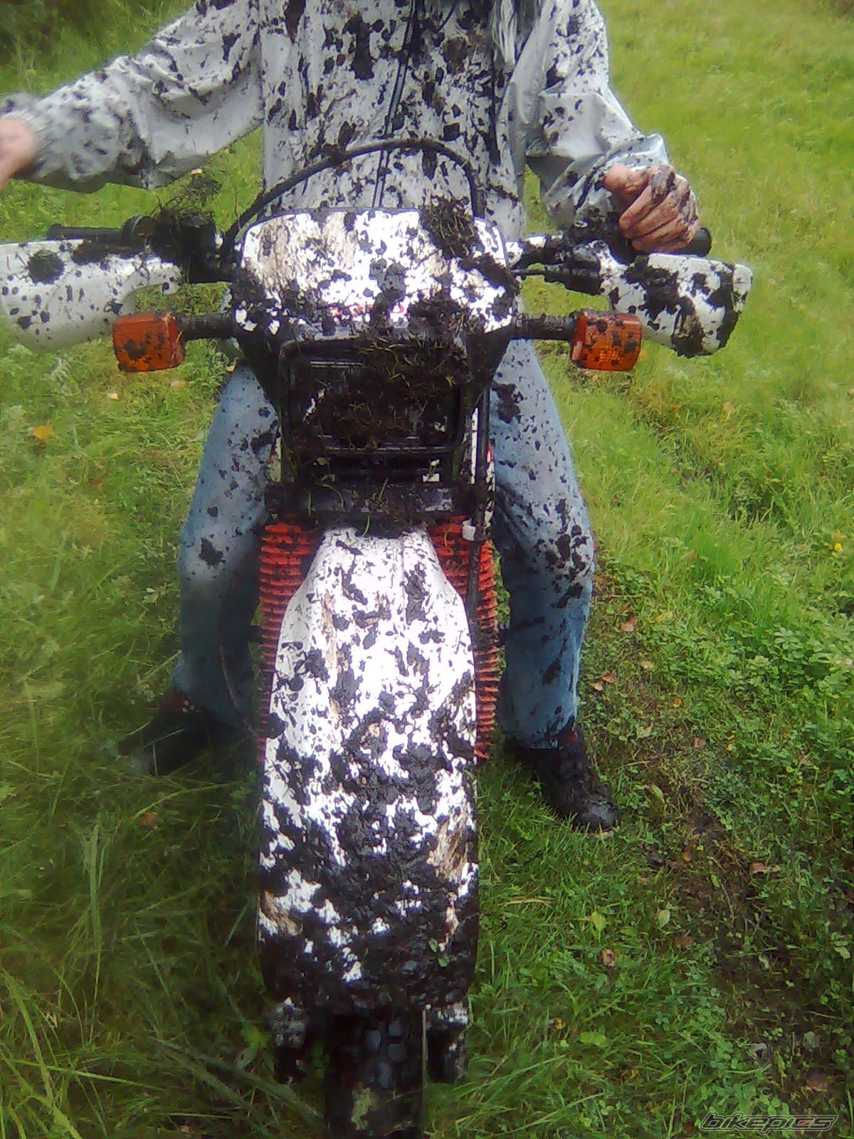 1998 HONDA XLR125 | Picture 2100512 motorcycle photo