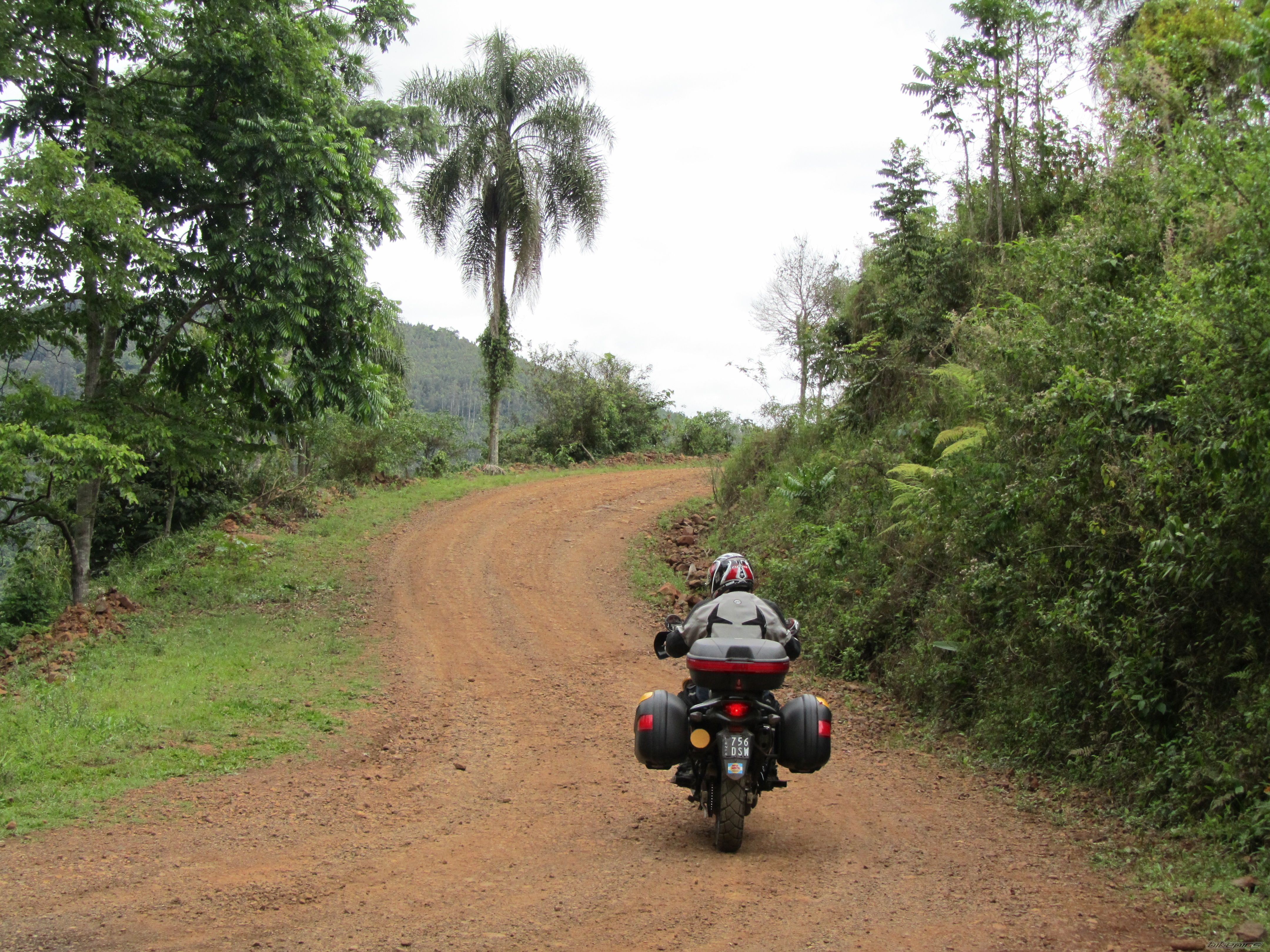 2008 HONDA XL 650V TRANSALP | Picture 2101034 motorcycle photo
