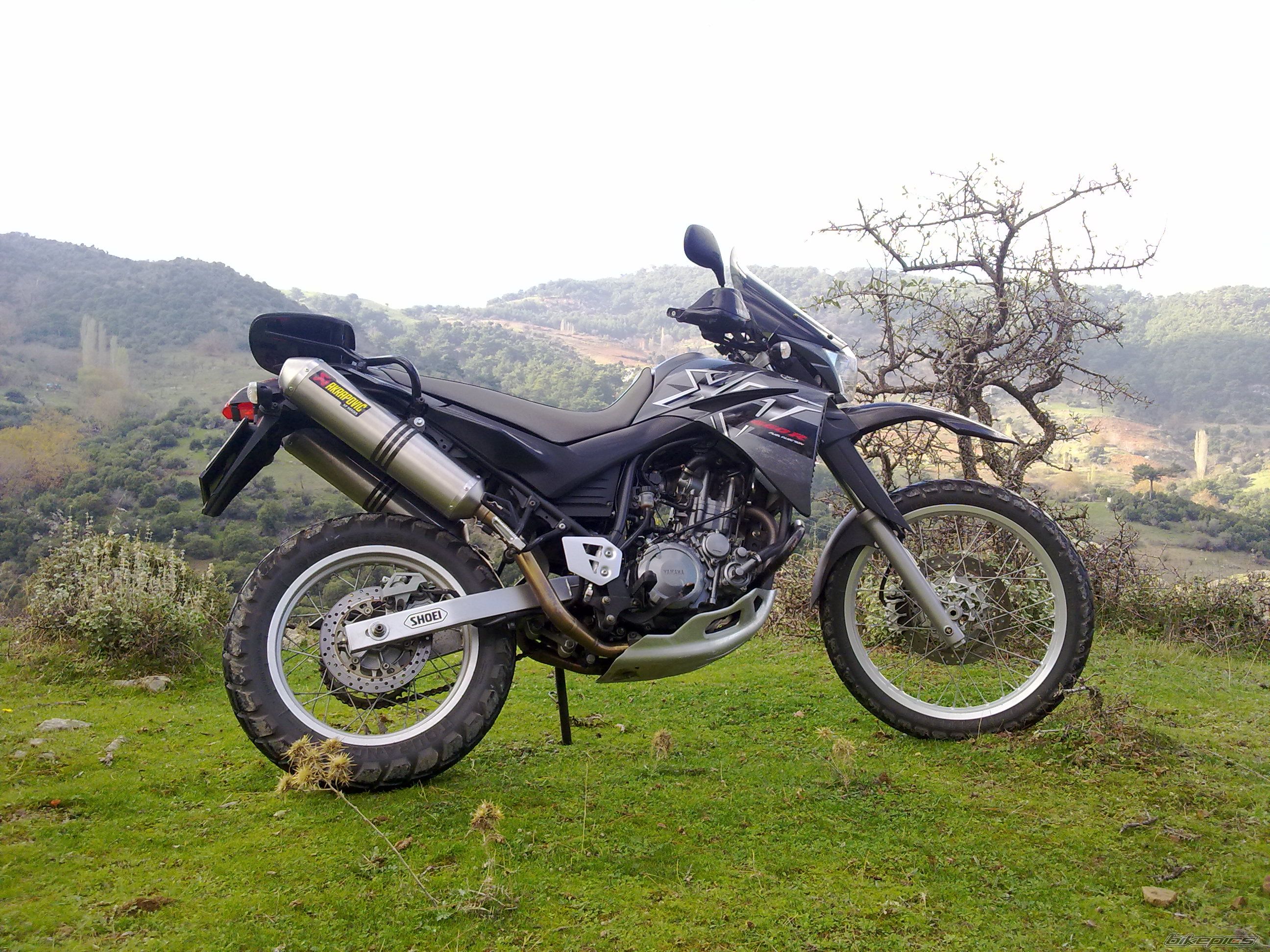 2008 YAMAHA XT 660 | Picture 2101276 motorcycle photo