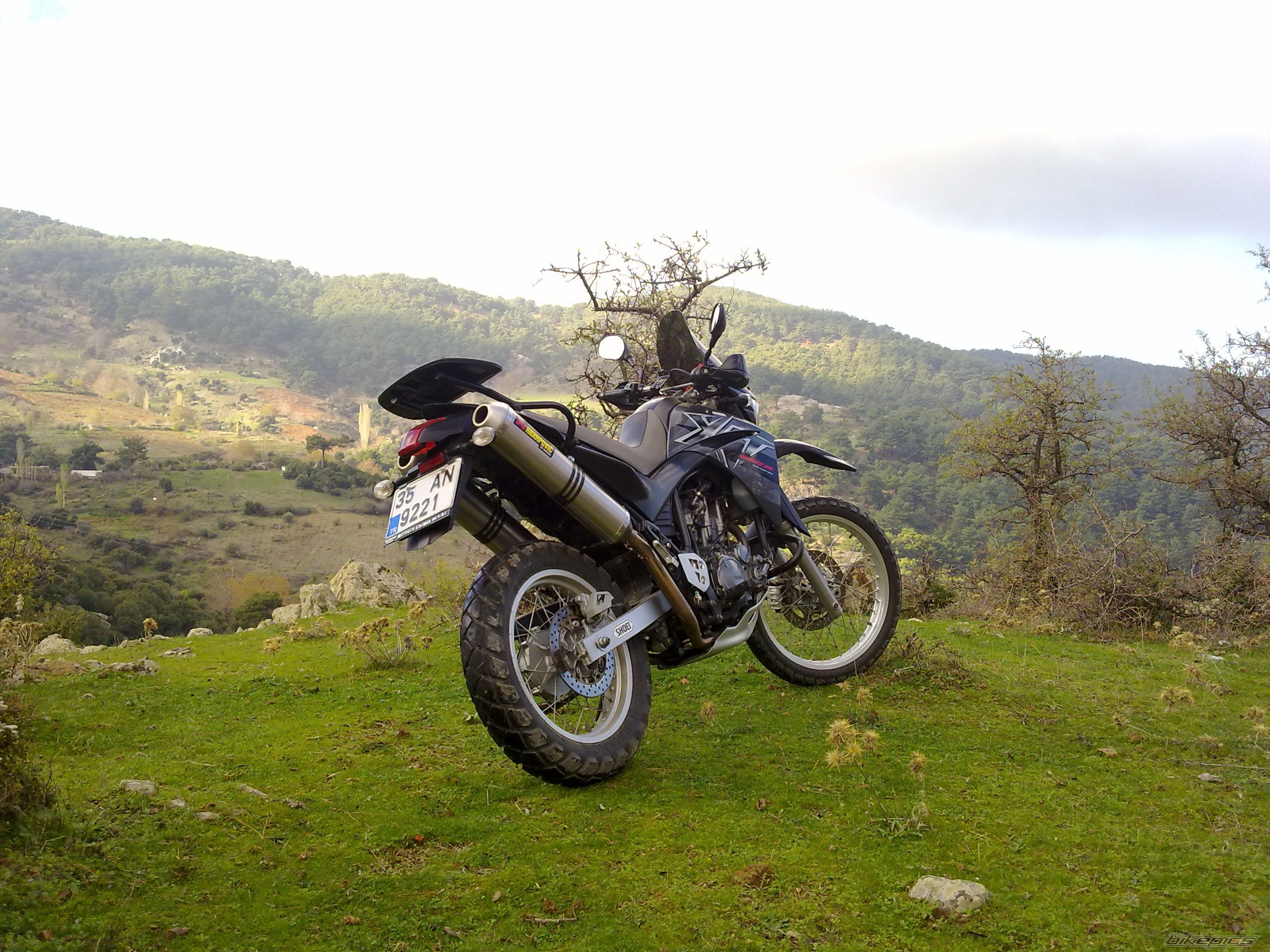 2008 YAMAHA XT 660 | Picture 2101278 motorcycle photo