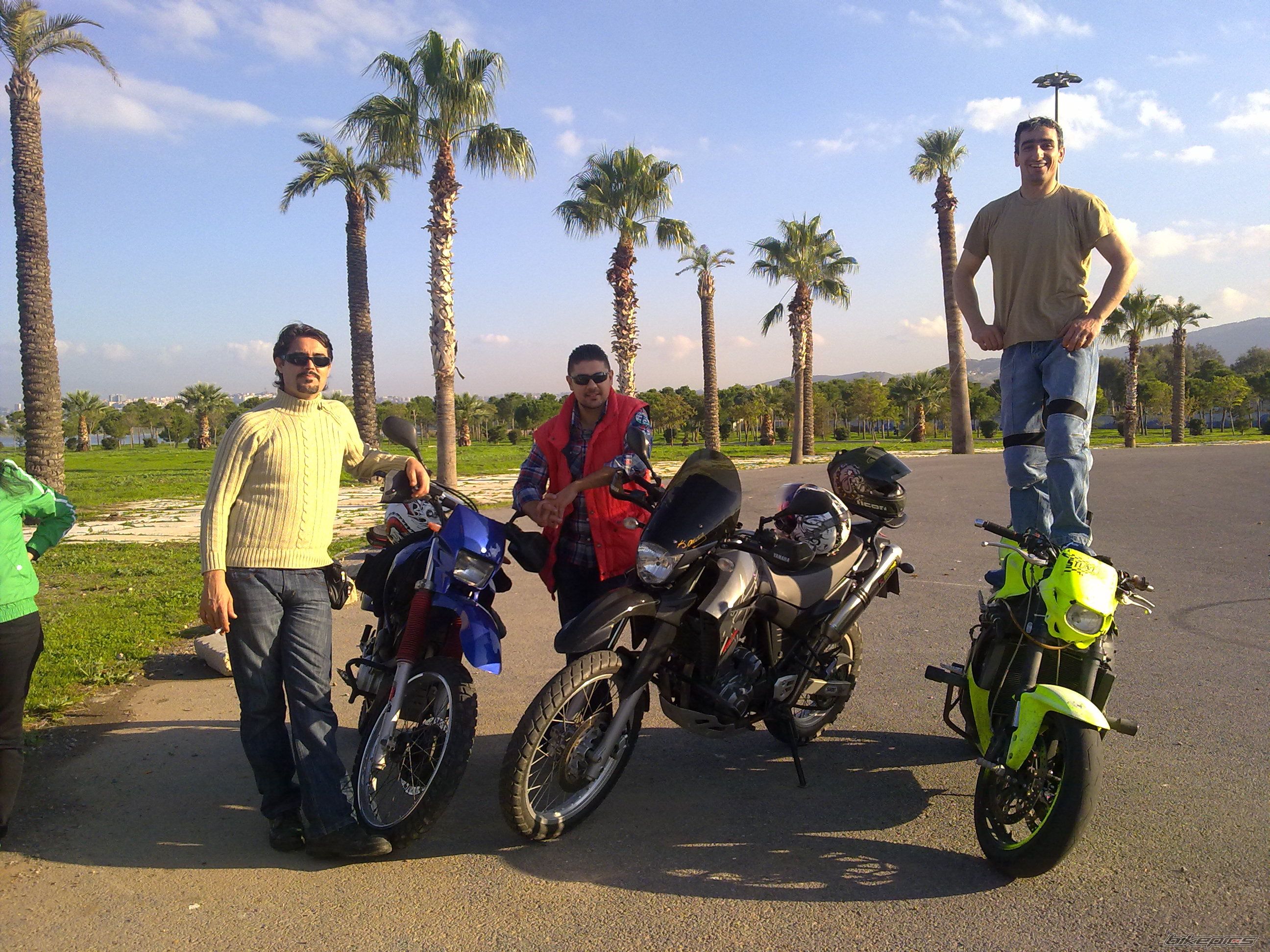 2008 YAMAHA XT 660 | Picture 2101280 motorcycle photo