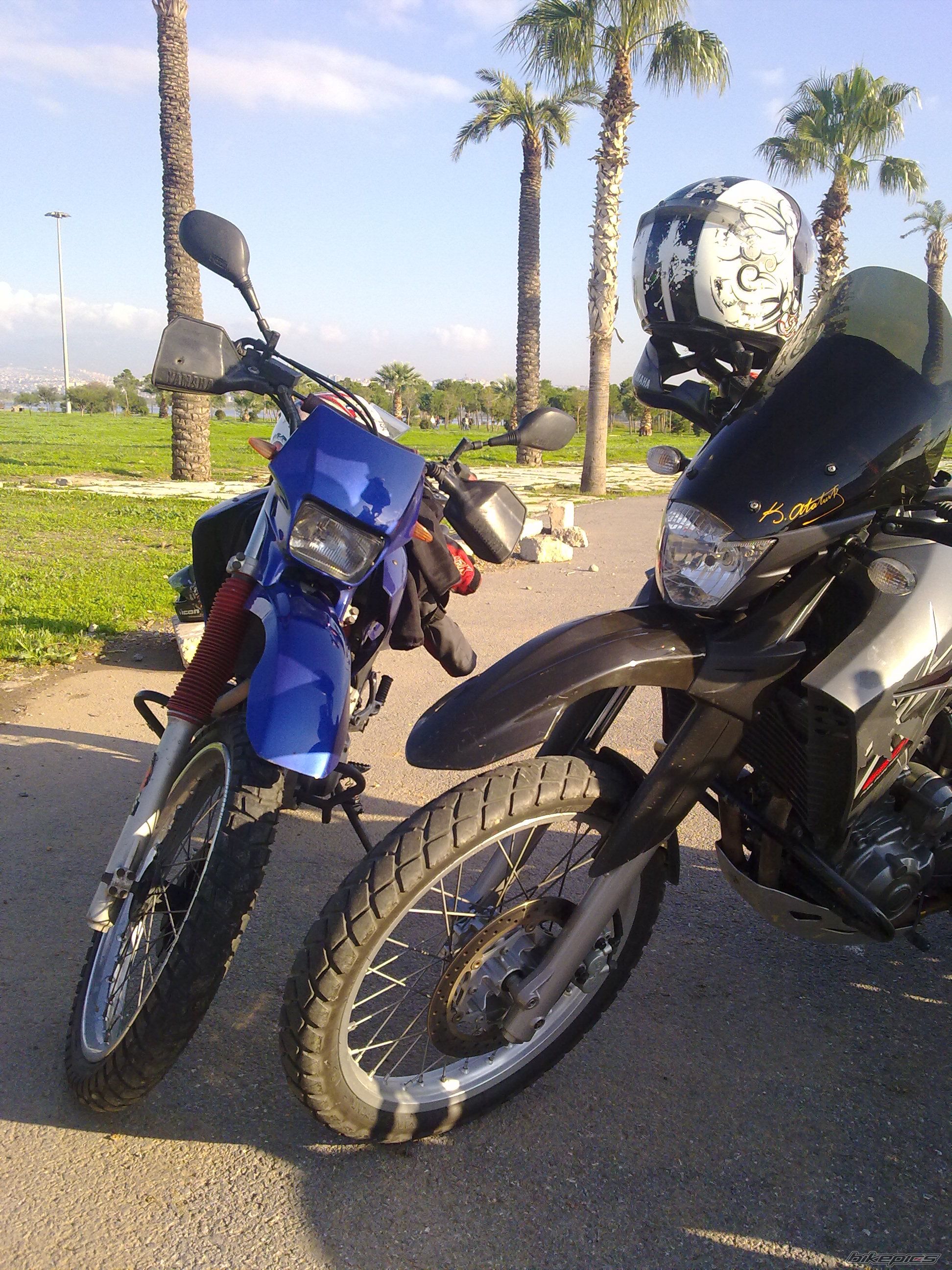 2008 YAMAHA XT 660 | Picture 2101281 motorcycle photo