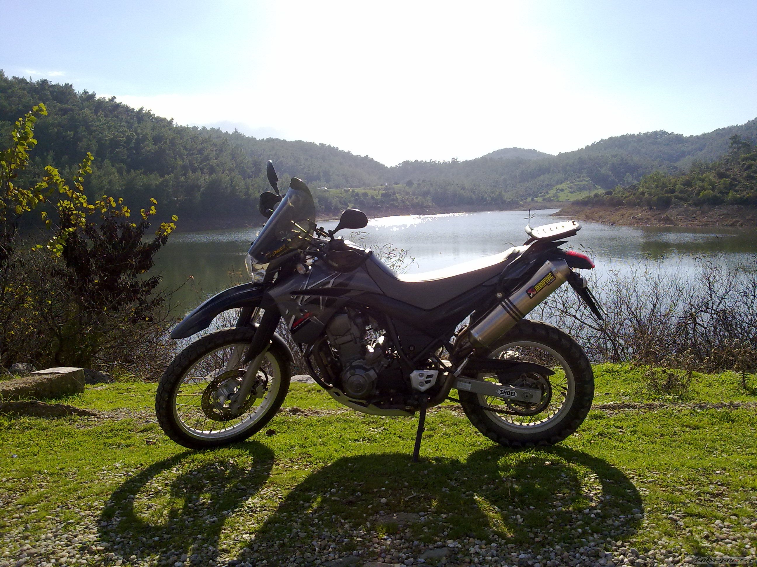 2008 YAMAHA XT 660 | Picture 2101282 motorcycle photo