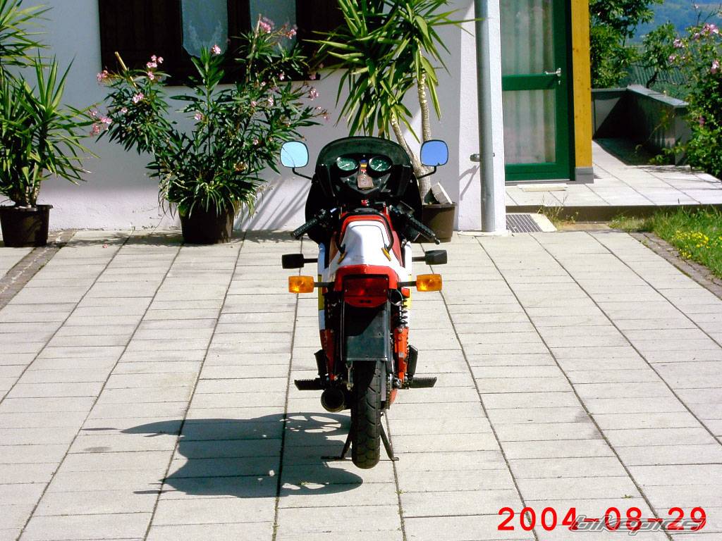 1986 SACHS ULTRA RS 50 | Picture 210157 motorcycle photo