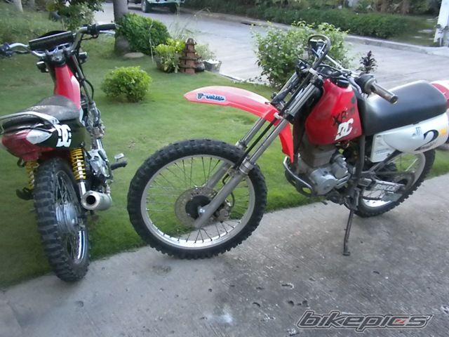 2010 HONDA XR 200 | Picture 2101664 motorcycle photo