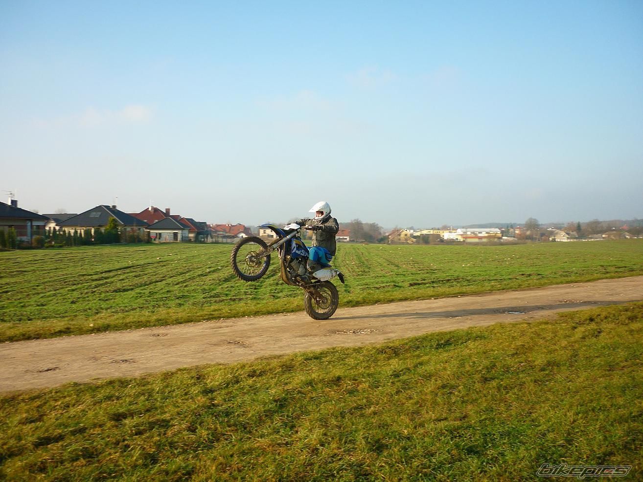 2009 HUSABERG FE550 | Picture 2101972 motorcycle photo