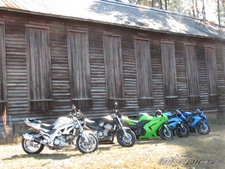 2003 SUZUKI SV 1000 | Picture 2102184 motorcycle photo