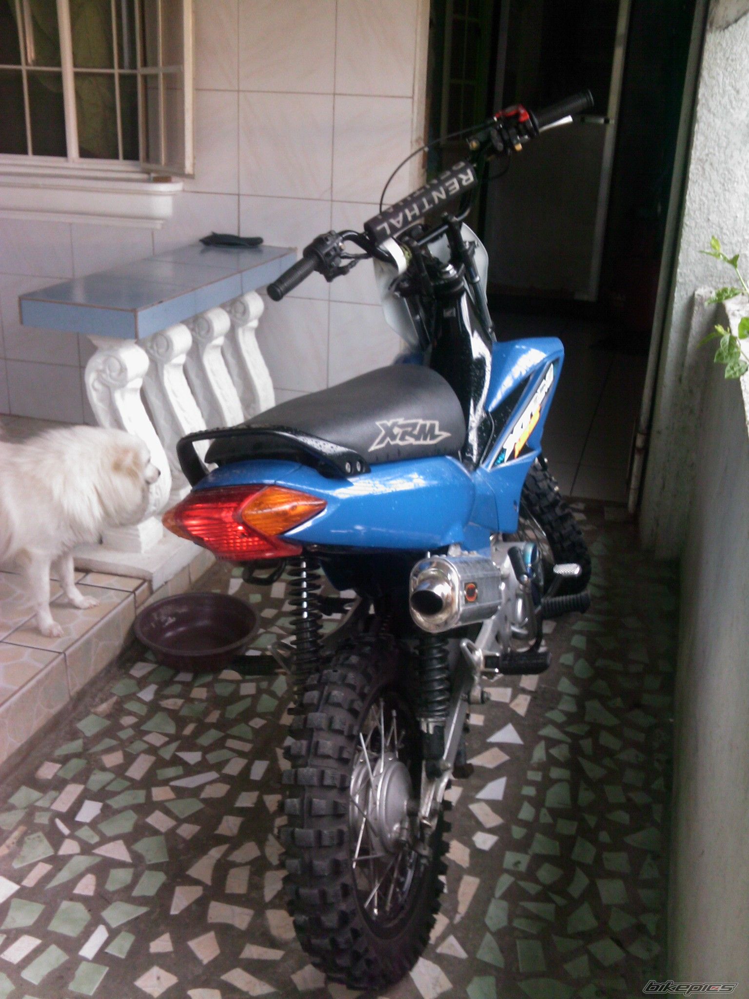 2010 HONDA XRM 110 | Picture 2102347 motorcycle photo