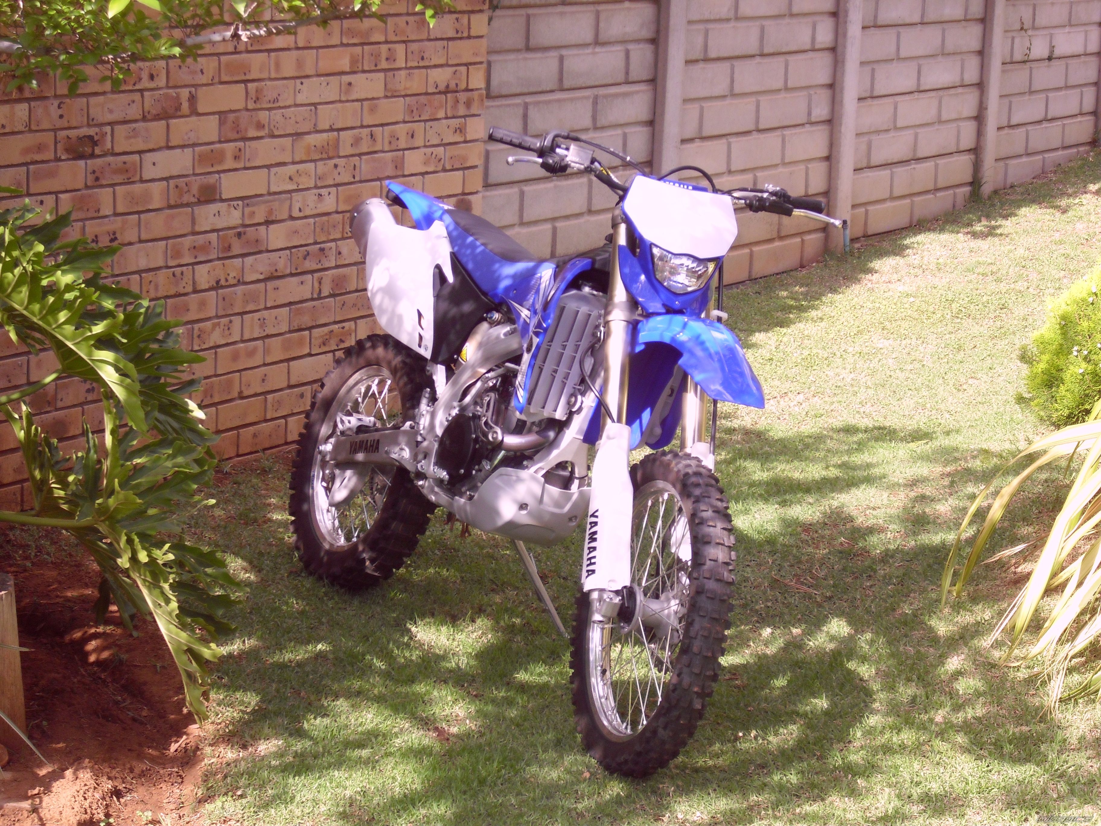 2010 YAMAHA WR 450F | Picture 2102601 motorcycle photo