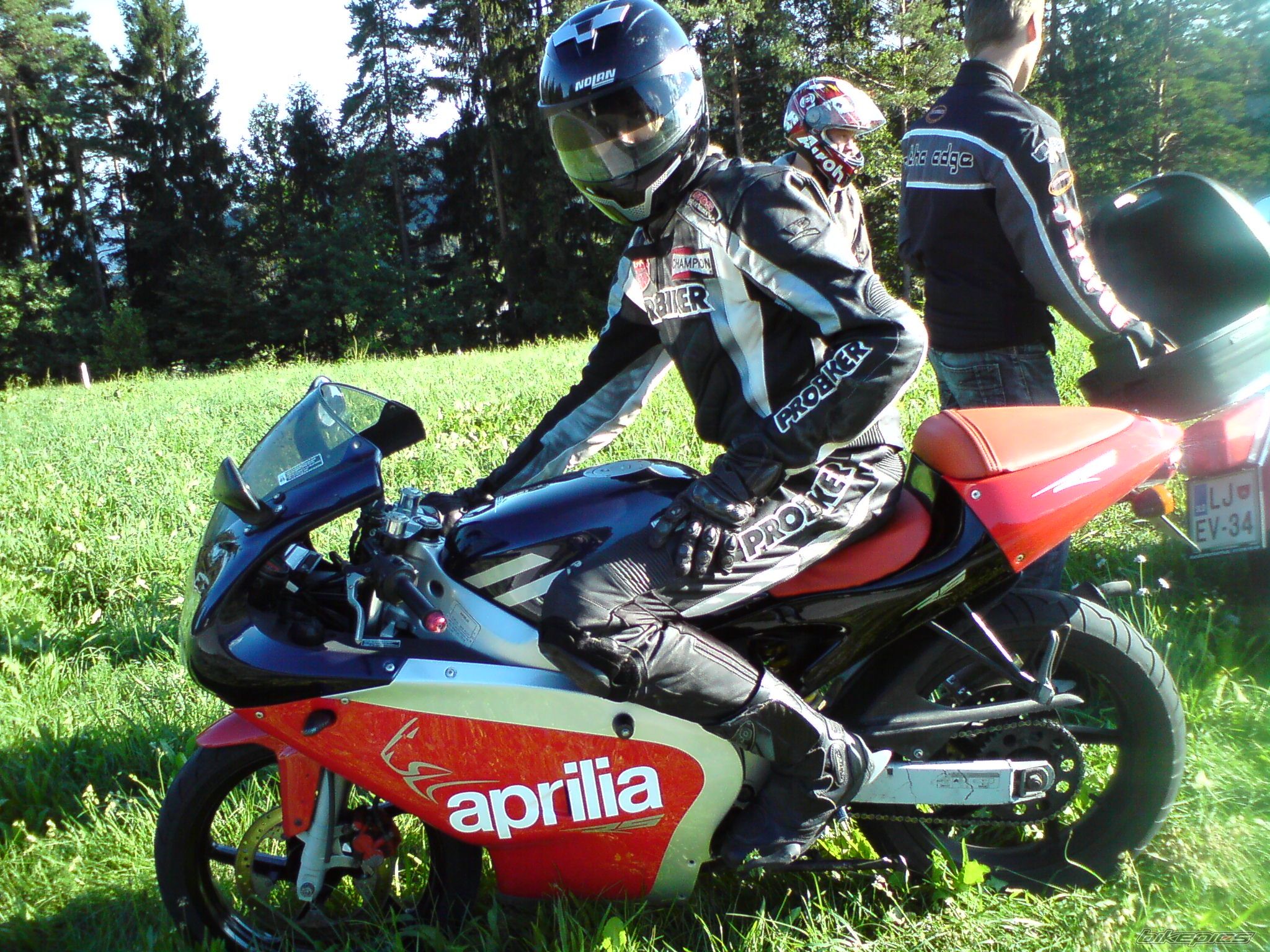 1999 APRILIA RS 50 | Picture 2102620 motorcycle photo