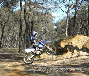 2001 YAMAHA YZ 250 | Picture 2102914 motorcycle photo