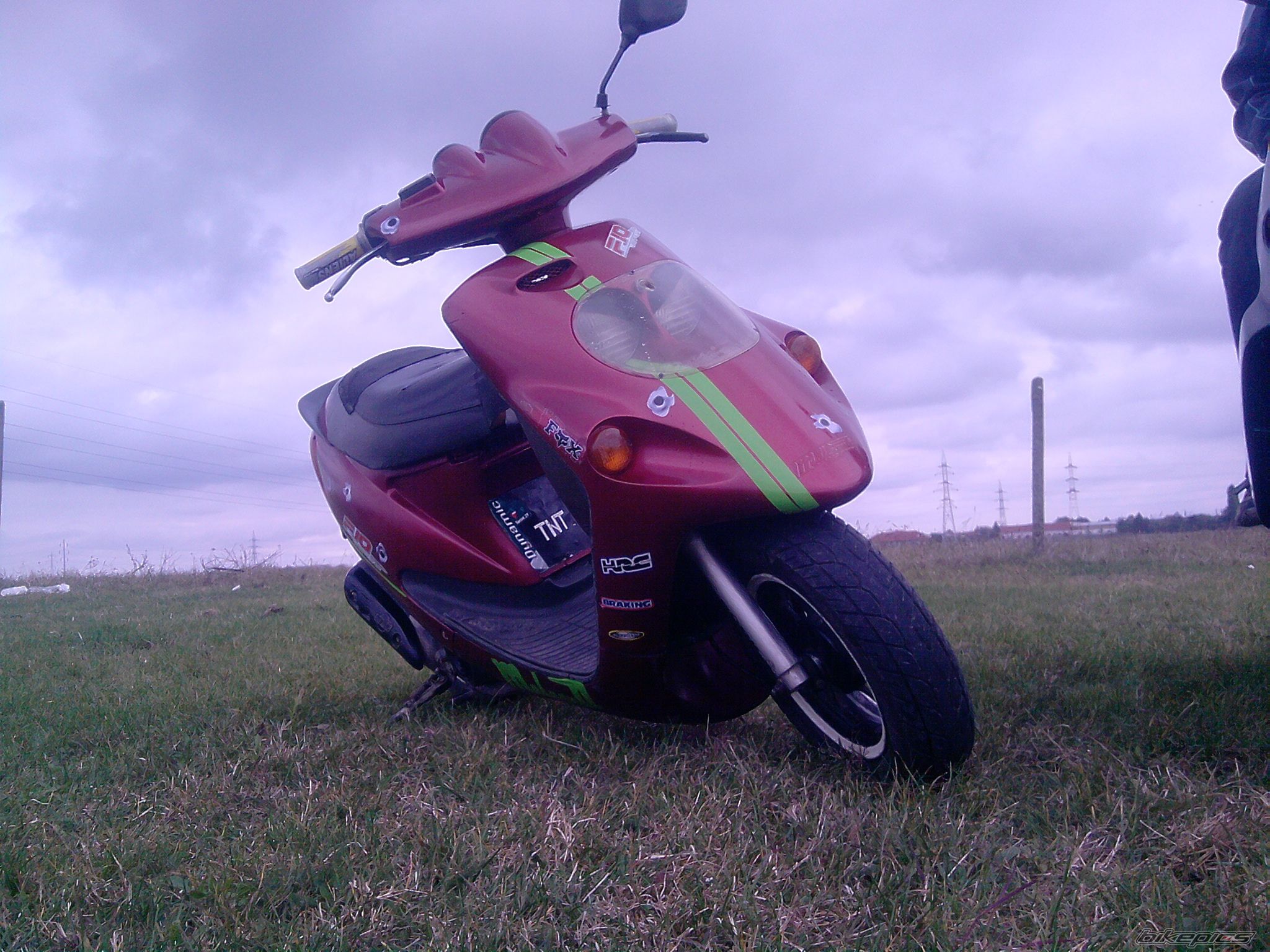 2010 MALAGUTI F 10 50 | Picture 2103000 motorcycle photo