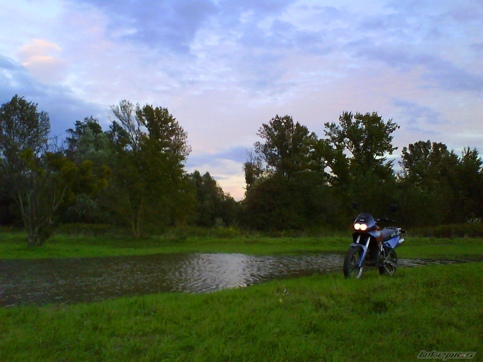 1996 APRILIA PEGASO 125 | Picture 2103037 motorcycle photo