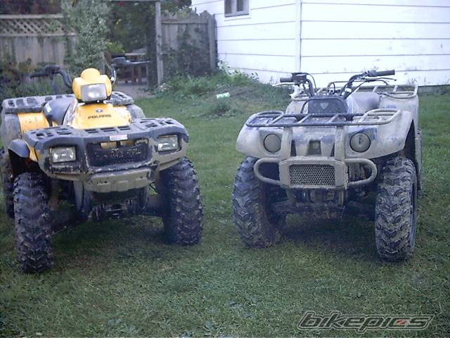 2004 POLARIS SPORTSMAN 500 | Picture 210315 motorcycle photo