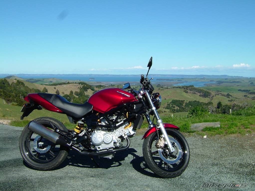 2000 HONDA VTR 250 | Picture 210389 motorcycle photo