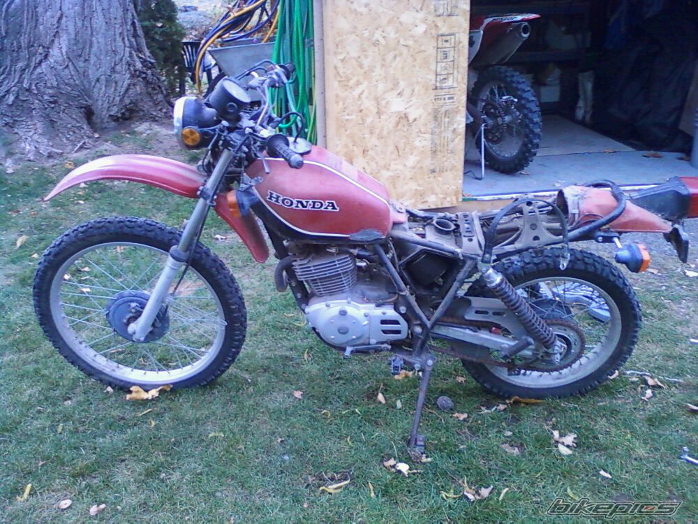 1981 HONDA XL 500 | Picture 2104191 motorcycle photo