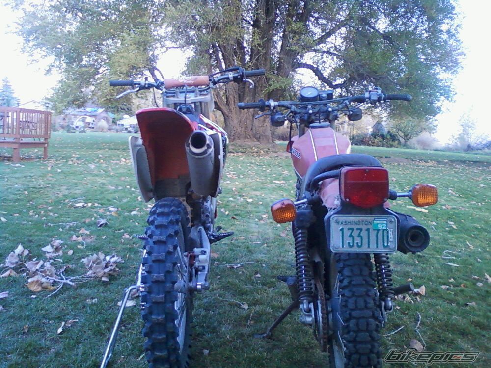 1981 HONDA XL 500 | Picture 2104193 motorcycle photo