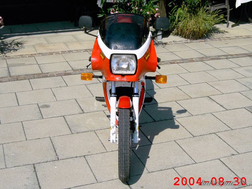 1986 SACHS ULTRA RS 50 | Picture 210469 motorcycle photo