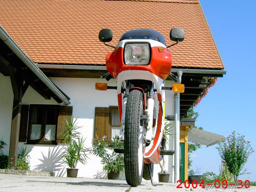 1986 SACHS ULTRA RS 50 | Picture 210482 motorcycle photo
